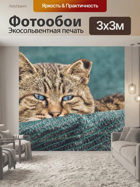 Фотообои Кошка