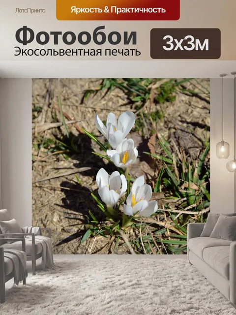 Фотообои Цветы