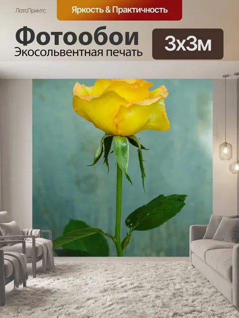 Фотообои Роза в саду