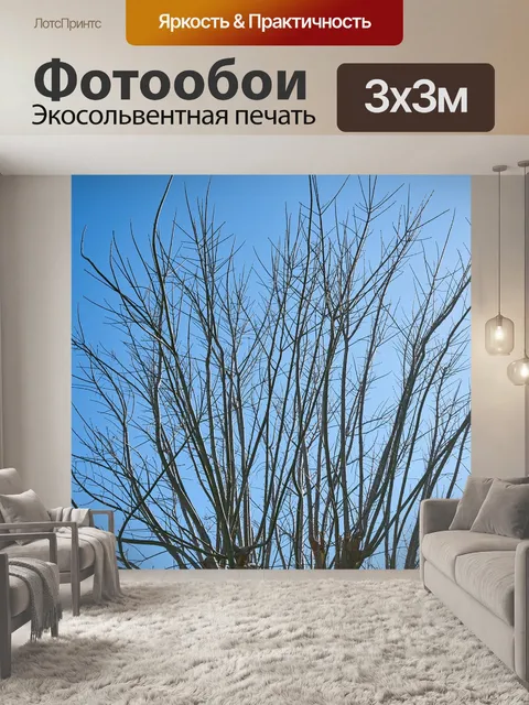 Фотообои Дерево