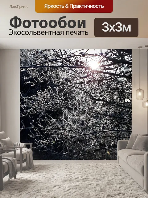 Фотообои Зима