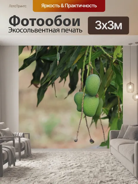 Фотообои Фрукты