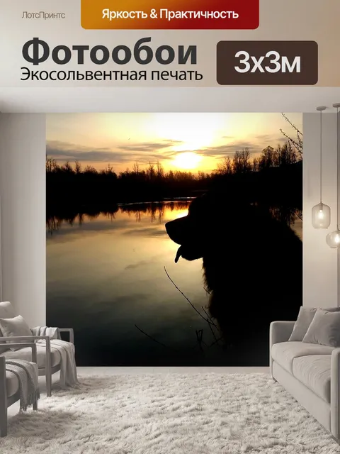 Фотообои Собака