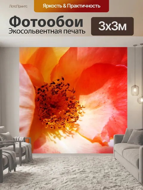 Фотообои Сердце розы