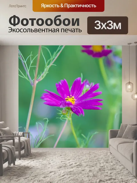 Фотообои Летние цветы