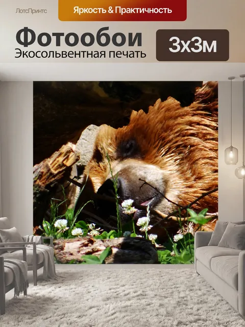 Фотообои Запах цветов по пути