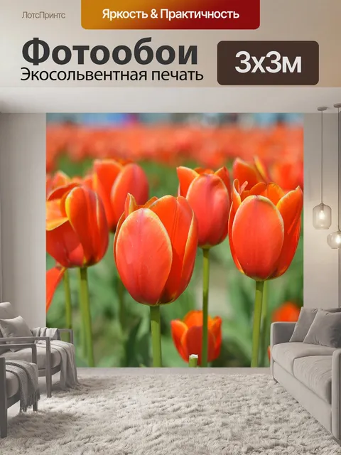 Фотообои Тюльпаны