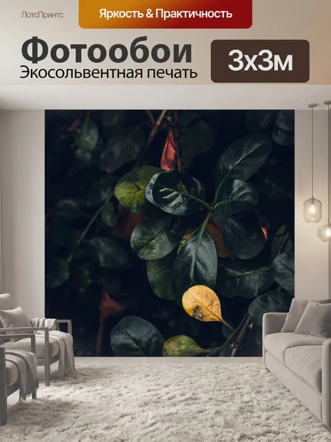 Фотообои Дерево