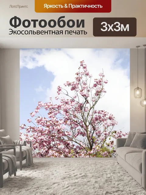 Фотообои Фон