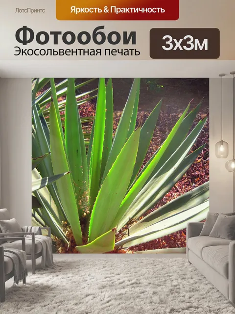 Фотообои колючие агавы