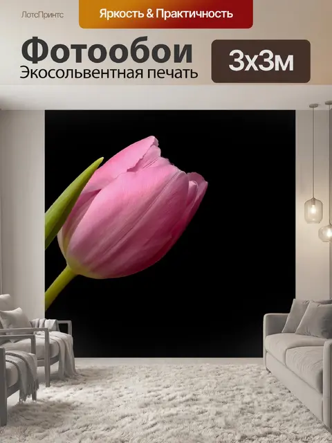 Фотообои Тюльпаны