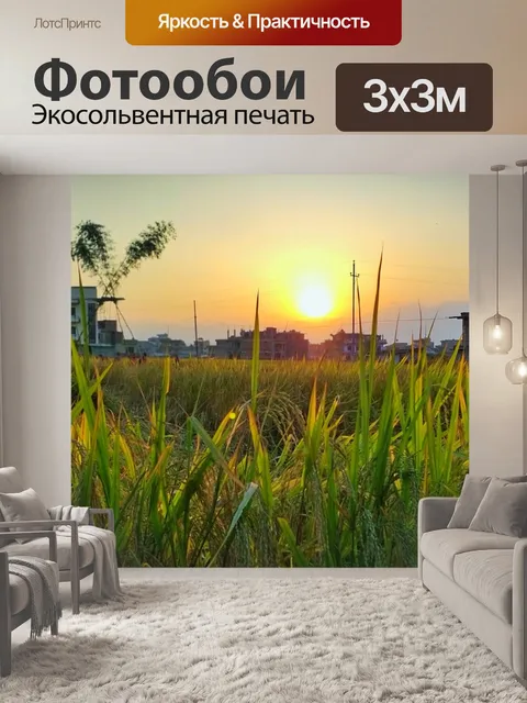 Фотообои Заход солнца