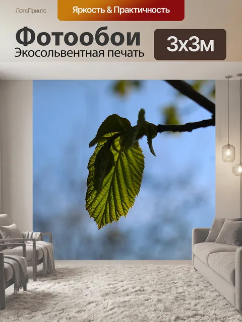 Фотообои Природа