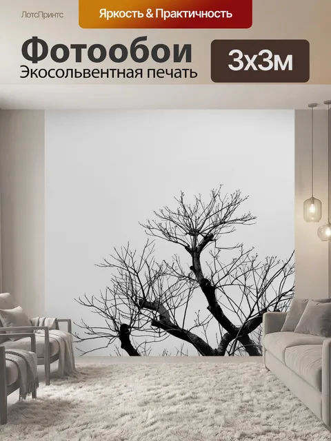 Фотообои Черные и белые ветви