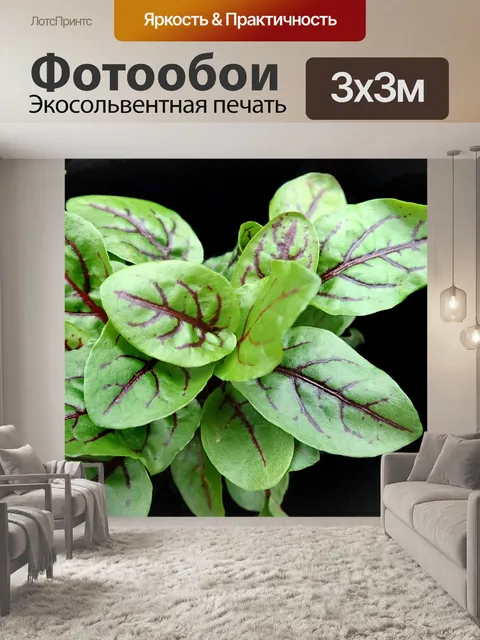 Фотообои Овощ