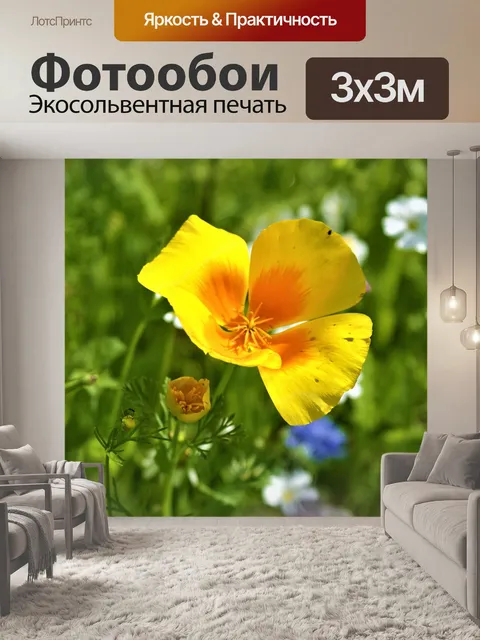 Фотообои Цветы