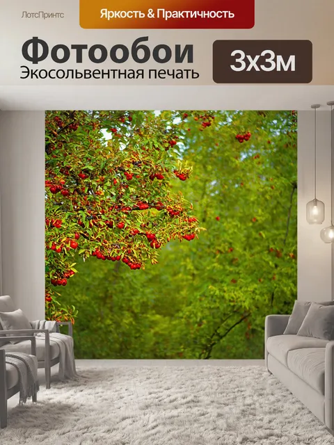 Фотообои лес с дикими фруктами, созревающими на деревьях, добавляющими яркие цвета в пейзаж