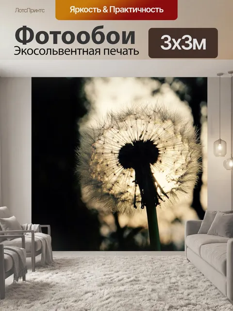 Фотообои Одуванчик
