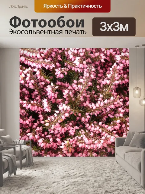 Фотообои Вереск