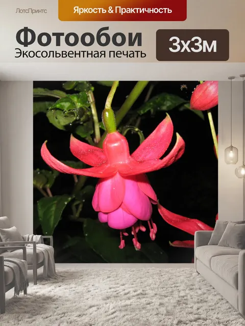 Фотообои Фуксия