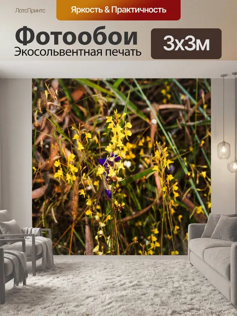 Фотообои Трава цветочное поле, полевые цветы