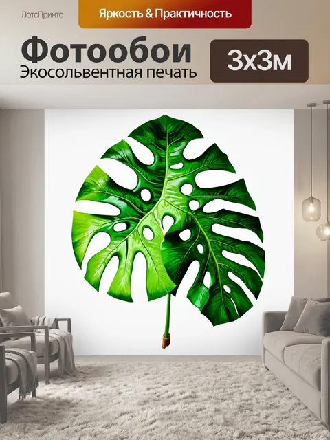 Фотообои графичный рисунок монстеры в стиле минимализма