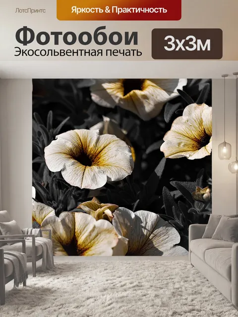 Фотообои Surfinien