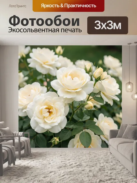 Фотообои Белые садовые розы