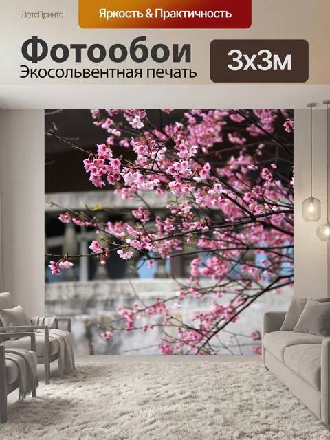 Фотообои Цветение вишни
