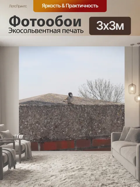 Фотообои Птица