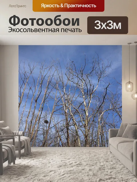 Фотообои Дерево