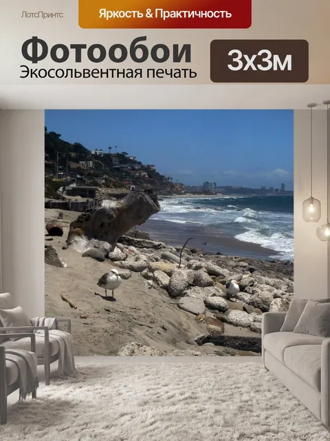 Фотообои Чайки у моря