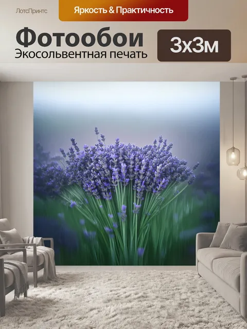 Фотообои лаванда, покрытая утренним туманом, что создает мистическую атмосферу