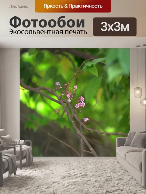 Фотообои Звезда фрукты
