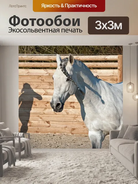 Фотообои Лошадь