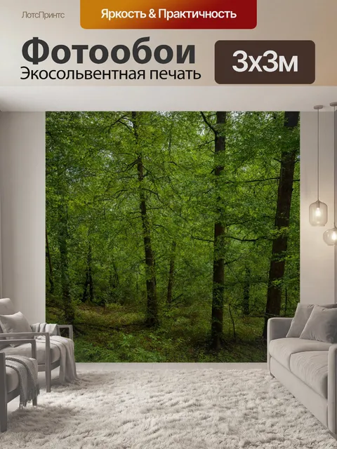 Фотообои волнующий лес с разнообразными формами деревьев и листвой