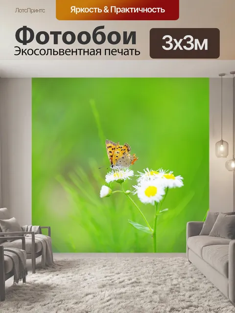 Фотообои Бабочка