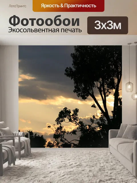 Фотообои Позолоченное облако на закате