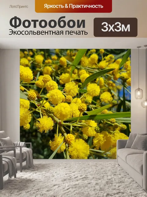 Фотообои Дерево
