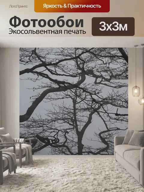 Фотообои Лес