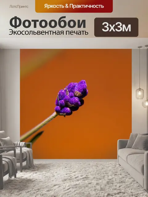 Фотообои Весна