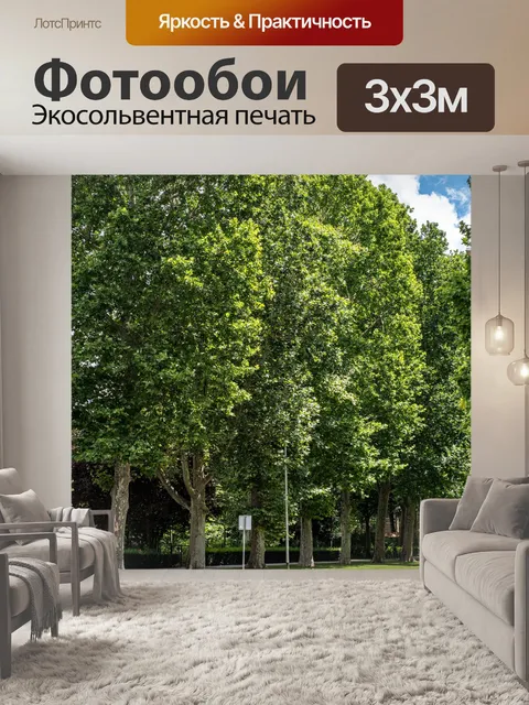 Фотообои Город