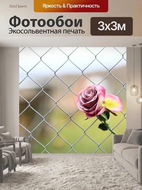 Фотообои Цветок