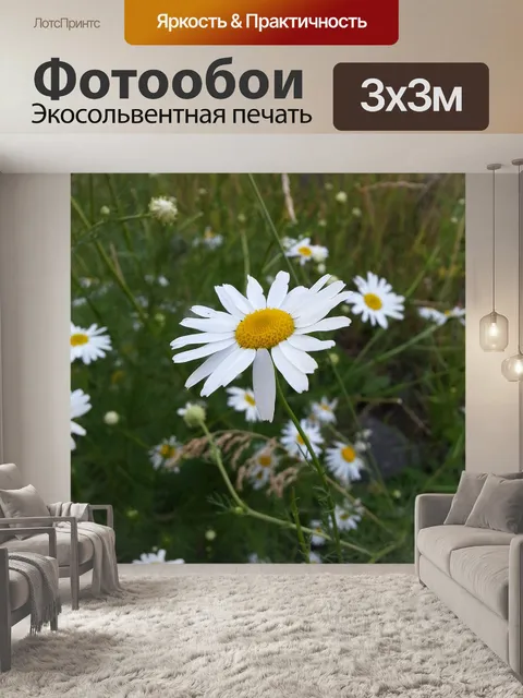 Фотообои Цветы