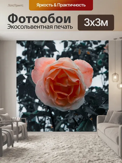 Фотообои Цветок