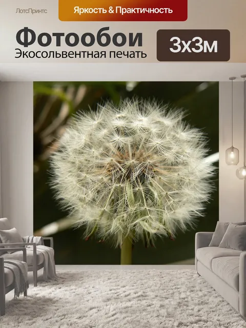 Фотообои Одуванчик