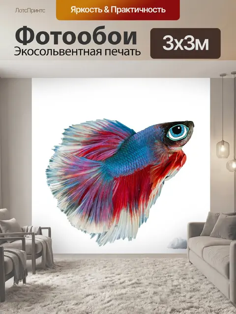 Фотообои Рыбы