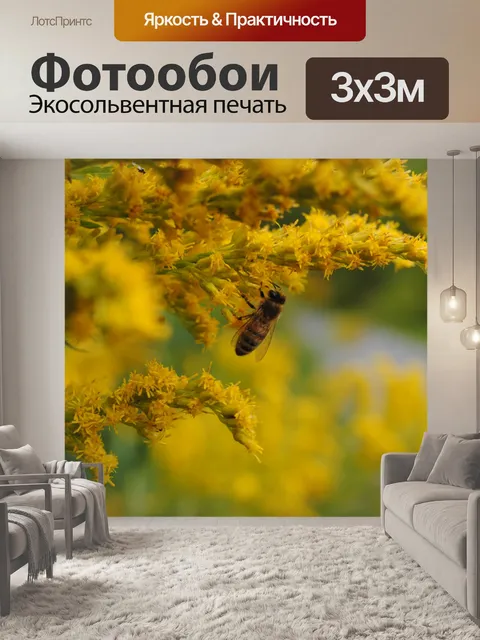 Фотообои Оса на работе