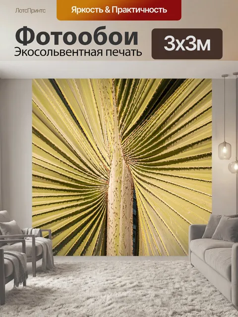 Фотообои Пальма
