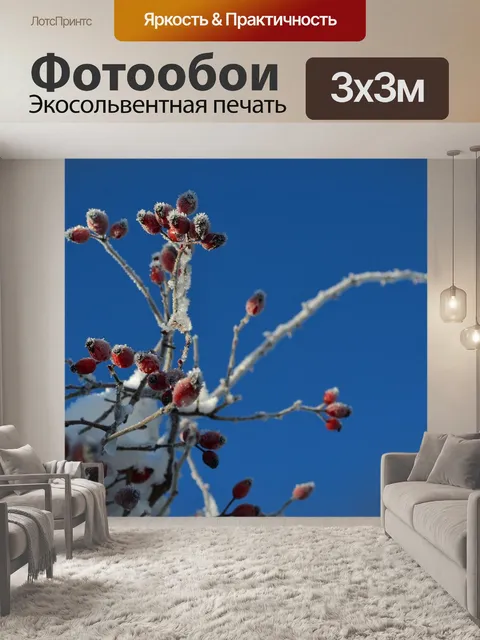 Фотообои Зима